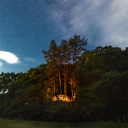 Luxury Tree House Break Luxury Tree House Break